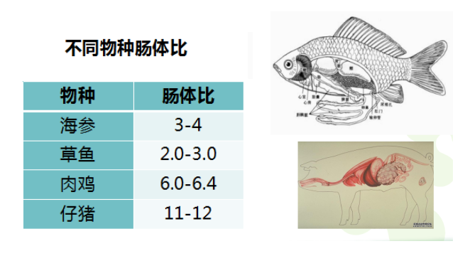 微信图片_20181204142337.png