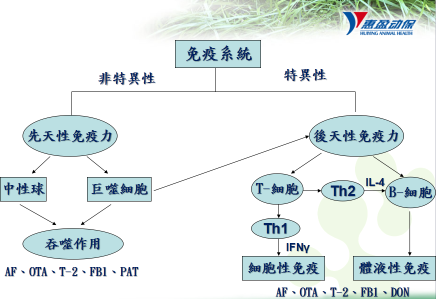 图片15.png